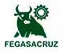 Fegasacruz
